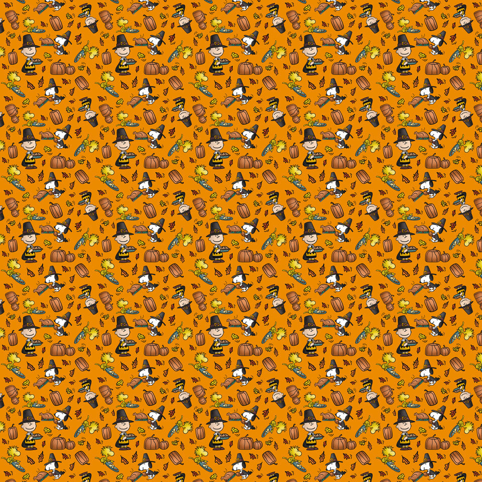 Peanuts Thanksgiving